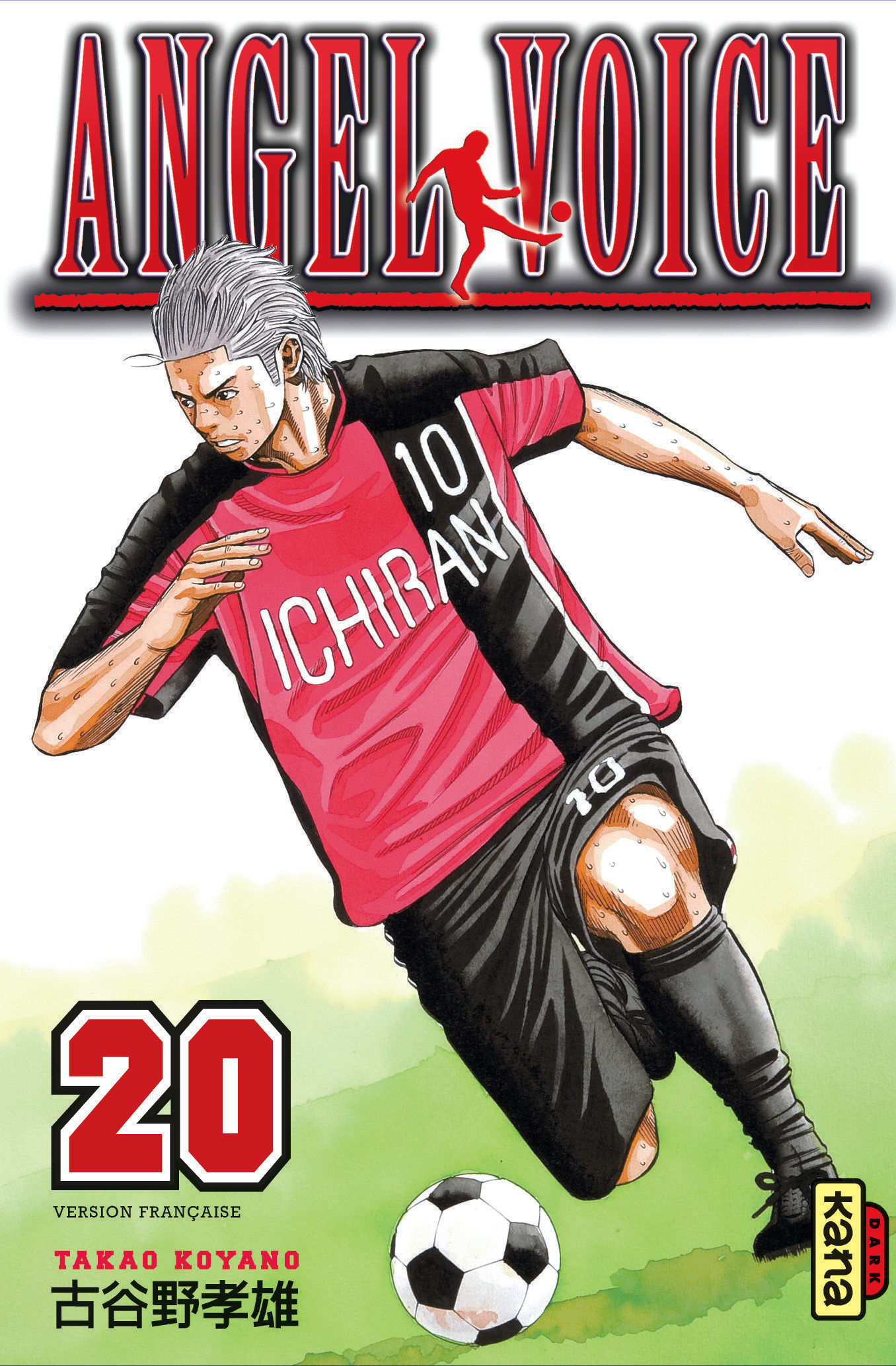 Angel Voice T20 - couv