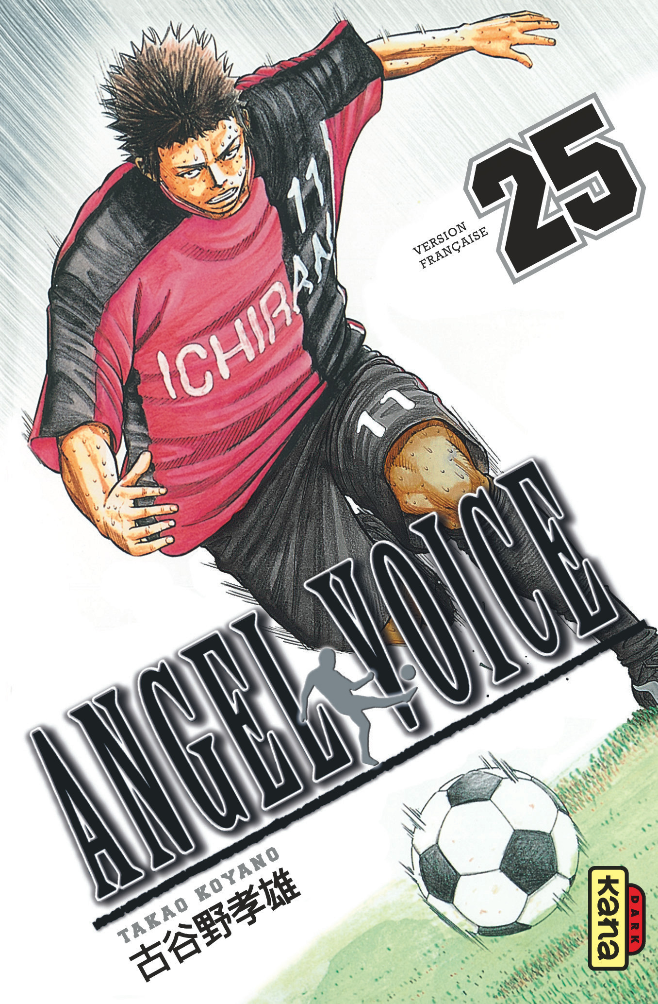 Angel Voice T25 - couv