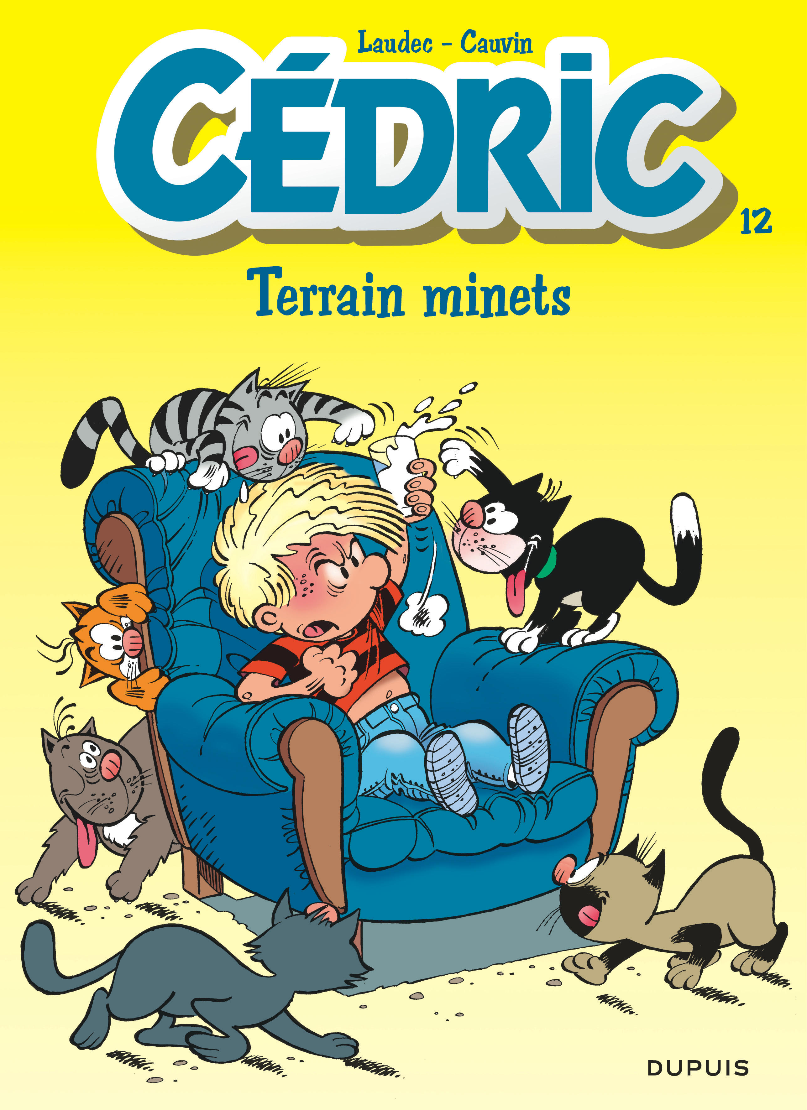 Terrain minets - couv