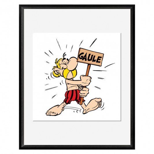 Digigraphie Astérix et Obélix - Gaule - 40 X 50 cm - Cadre noir - principal