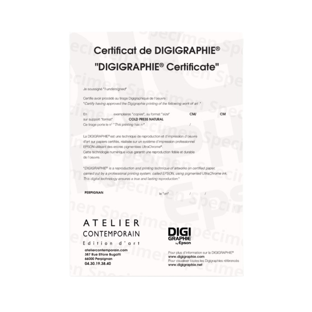 Digigraphie Astérix et Obélix, crayonné au noir - Panoramix - 40 X 50 cm - Cadre noir - secondaire-2