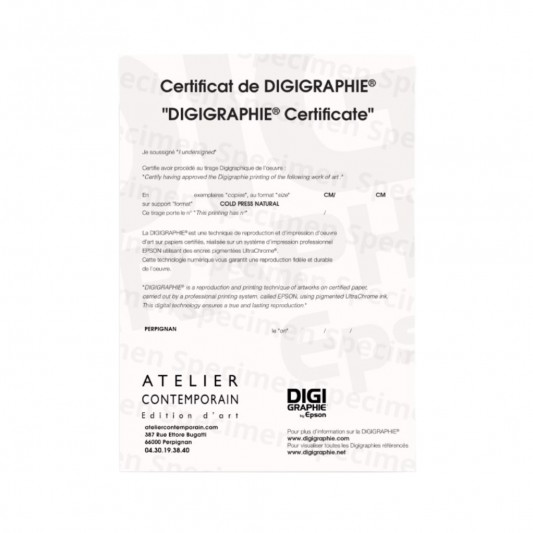 Digigraphie Astérix et Obélix, crayonné au noir - Panoramix - 40 X 50 cm - Cadre noir - secondaire-2